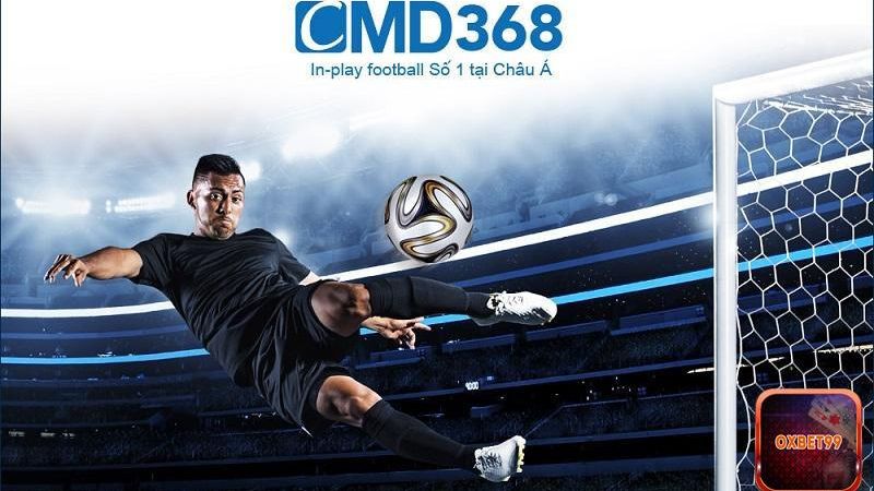 Nhiều môn thể thao hấp dẫn tại CMD368