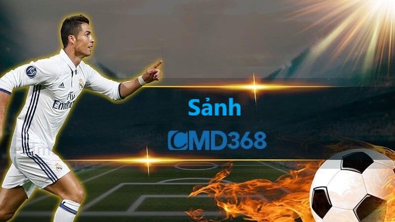 Khái quát về sảnh CMD368 Sports