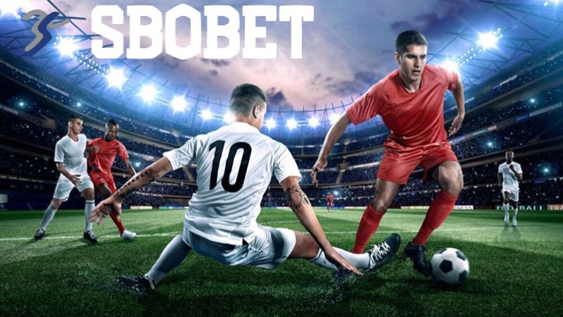 Đa dạng thể loại hình thức cá cược Sbobet