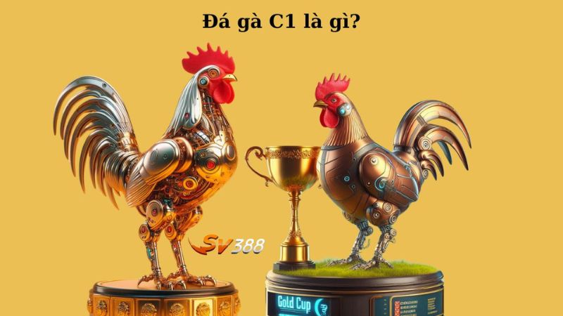 Giới thiệu sảnh SV388 đa dạng